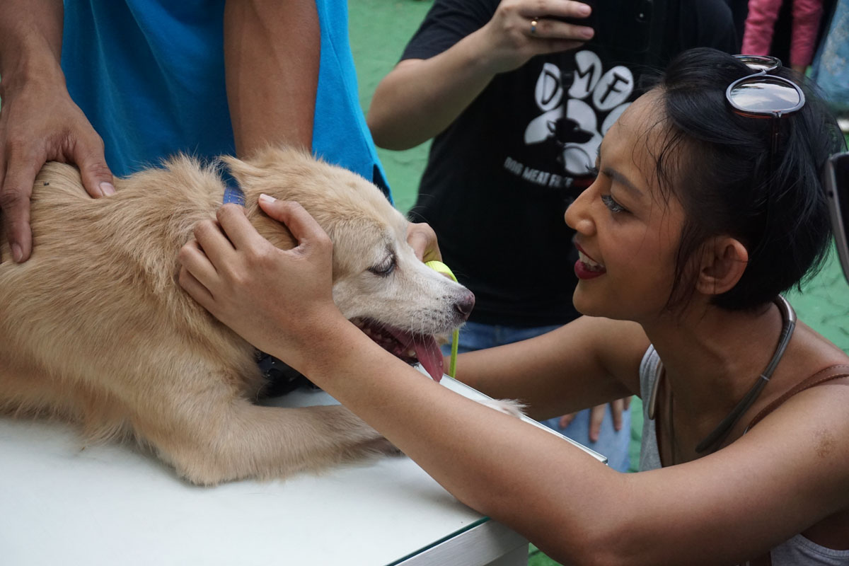 Promoting the Protection of Jakarta’s Dogs