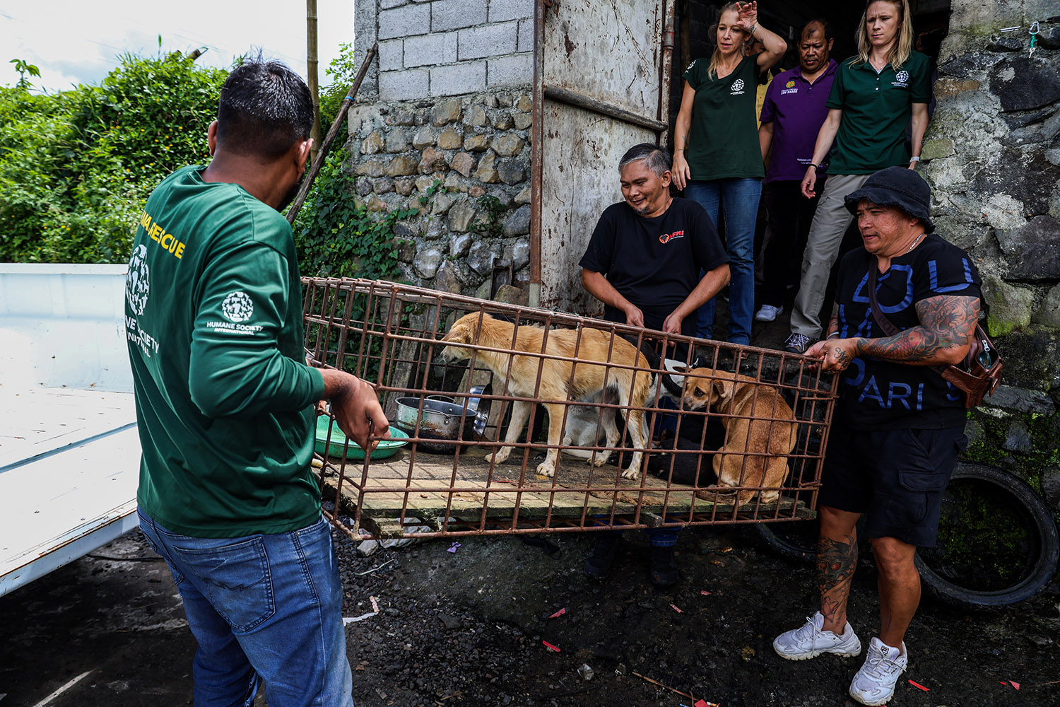 Celebrities including Billie Eilish, Charlize Theron, Clint Eastwood, Kim Basinger alongside Indonesian mega-stars call for end to cruel dog and cat meat trade in Indonesia 