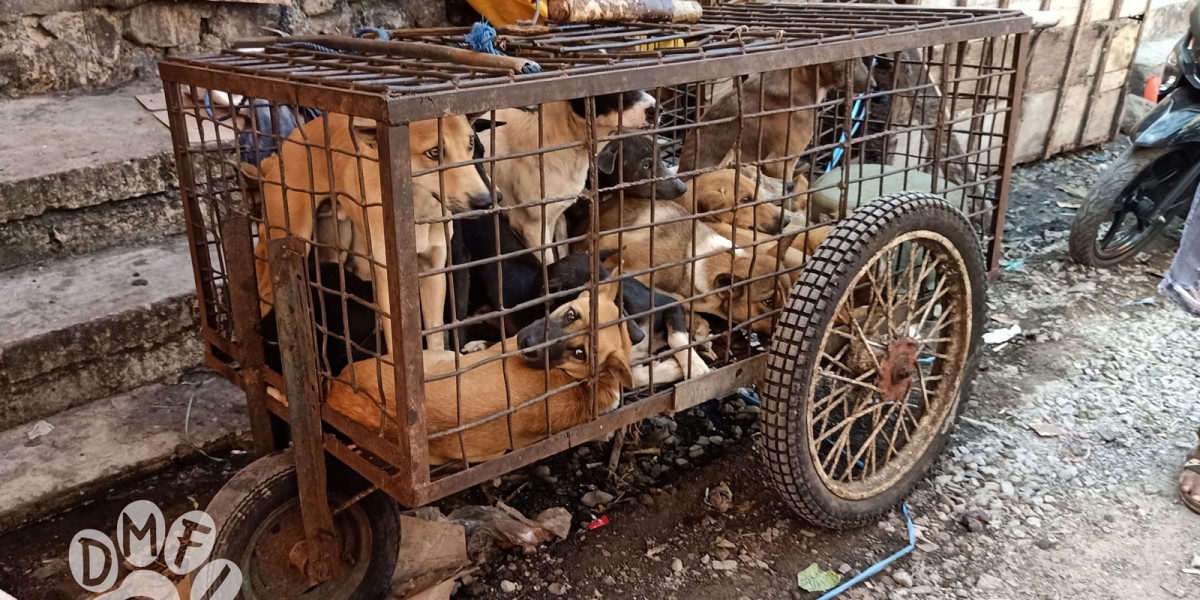 250,000 petition signatures are presented to Indonesia’s North Sulawesi Governor defying Government’s call to end the dog and cat meat trade