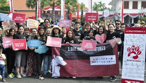 On Indonesia’s “National Day of Heroes”, Hundreds Take to the Streets in Cities Throughout the Country to Join us in Our United Calls for A Dog And Cat Meat Free Indonesia!