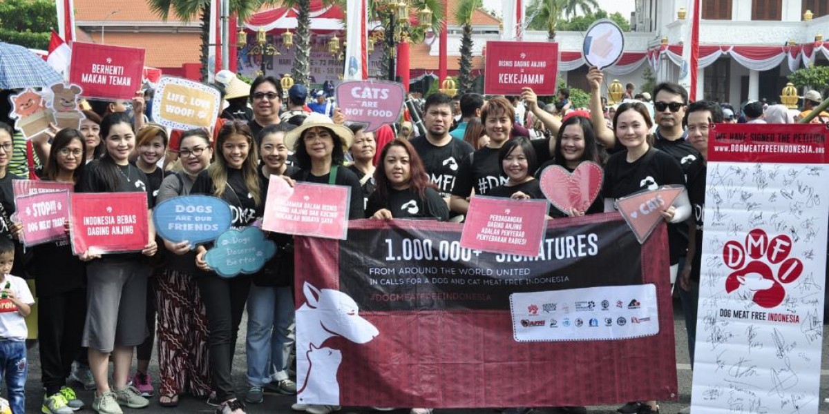 On Indonesia’s “National Day of Heroes”, Hundreds Take to the Streets in Cities Throughout the Country to Join us in Our United Calls for A Dog And Cat Meat Free Indonesia!