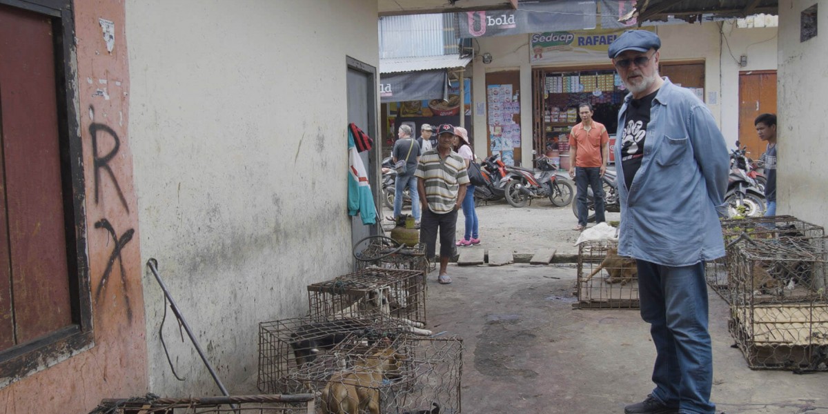 British actor and DMFI Ambassador Peter Egan visits “sickening horrors” of North Sulawesi’s brutal dog and cat meat markets, calls on Indonesian government to take action