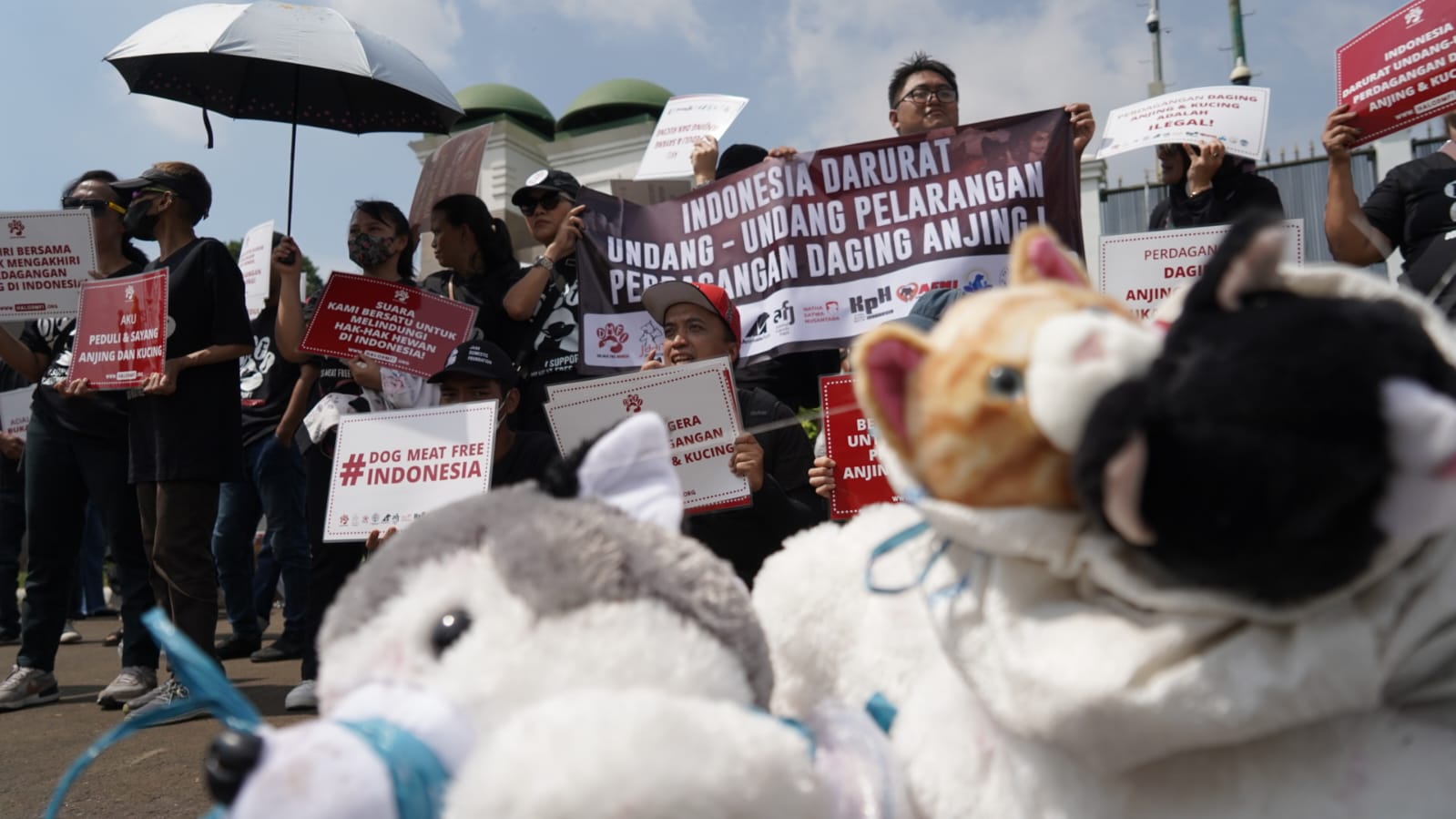 Animal lovers rally outside Indonesia’s parliament in Jakarta calling for a national dog and cat meat trade ban