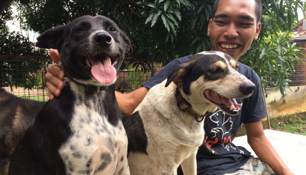 Ending Indonesia’s Dog and Cat Meat Trades: The Journey So Far
