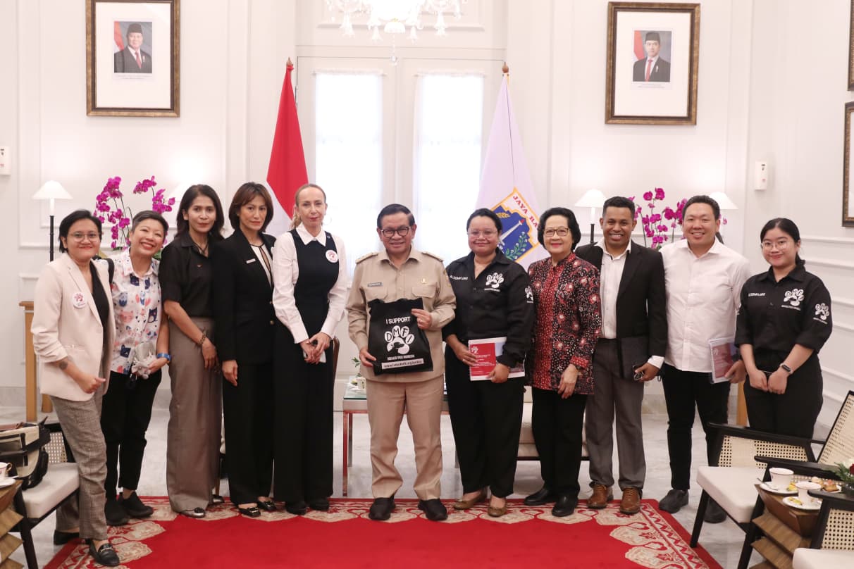 Jakarta to Ban Dog and Cat Meat Trade Within One Month