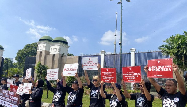 Animal lovers rally outside Indonesia’s parliament in Jakarta calling for a national dog and cat meat trade ban