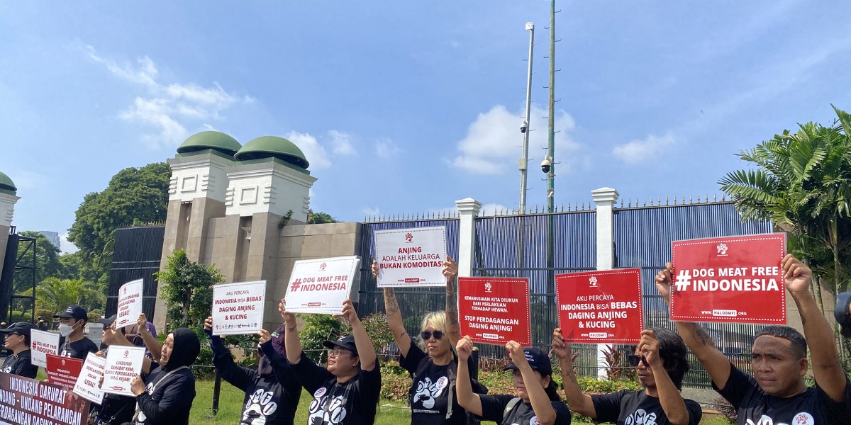 Animal lovers rally outside Indonesia’s parliament in Jakarta calling for a national dog and cat meat trade ban